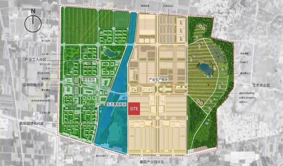 邹城蘑菇展览馆丨中国山东丨同圆设计集团-11