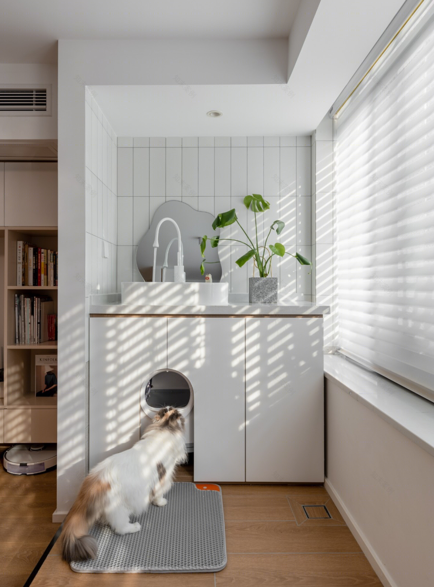 俩人俩猫的温馨小屋 loft公寓-23