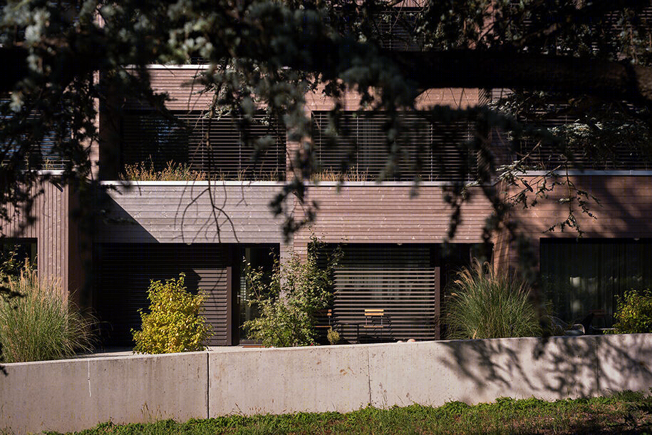 雪松住房丨瑞士日内瓦丨FdMP architectes architech sa-14
