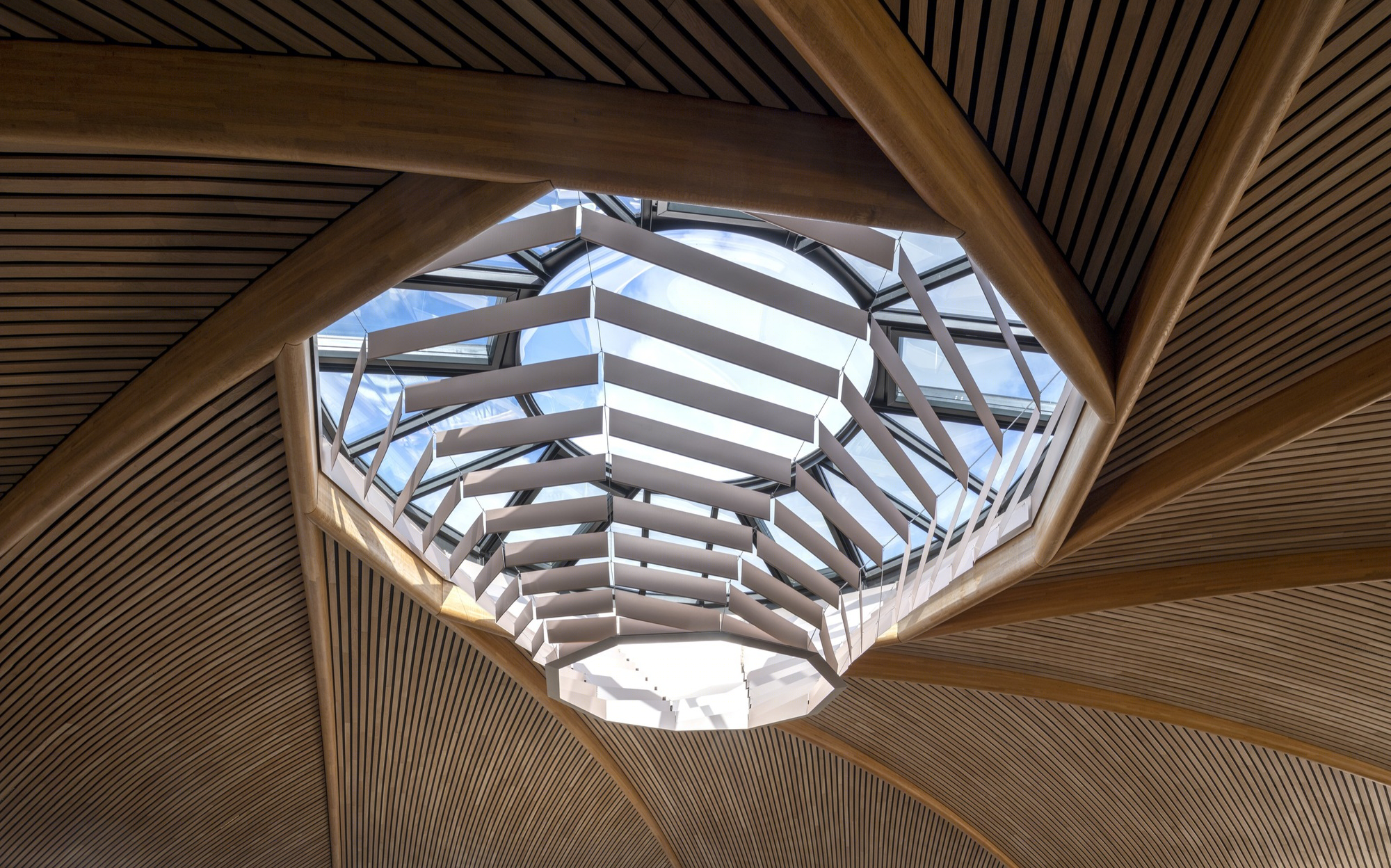 Le Dome 酒庄丨法国丨Foster + Partners-15