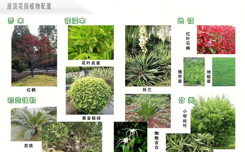 李伟丨办公建筑丨大唐办公楼-3