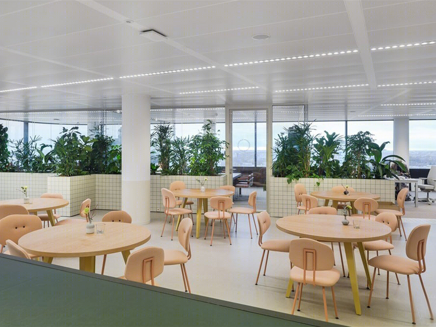 乌得勒支绿植办公室-2