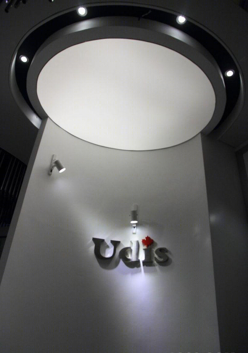 加拿大 UDIS 人脸识别旗舰店，科技与文化的完美融合-4