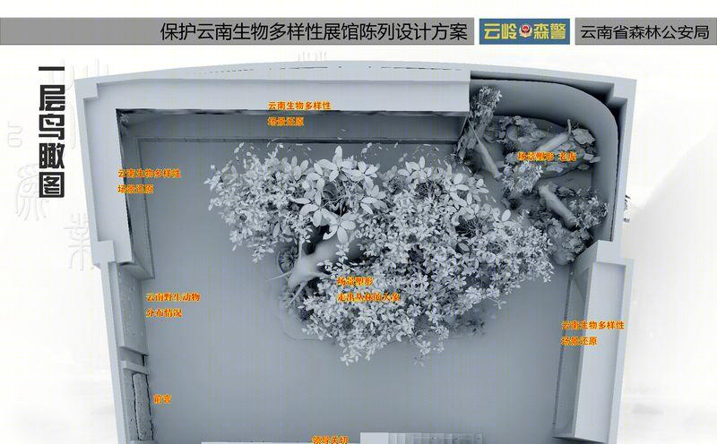 森林公安之家-15