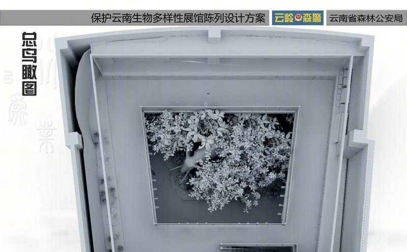 森林公安之家-16