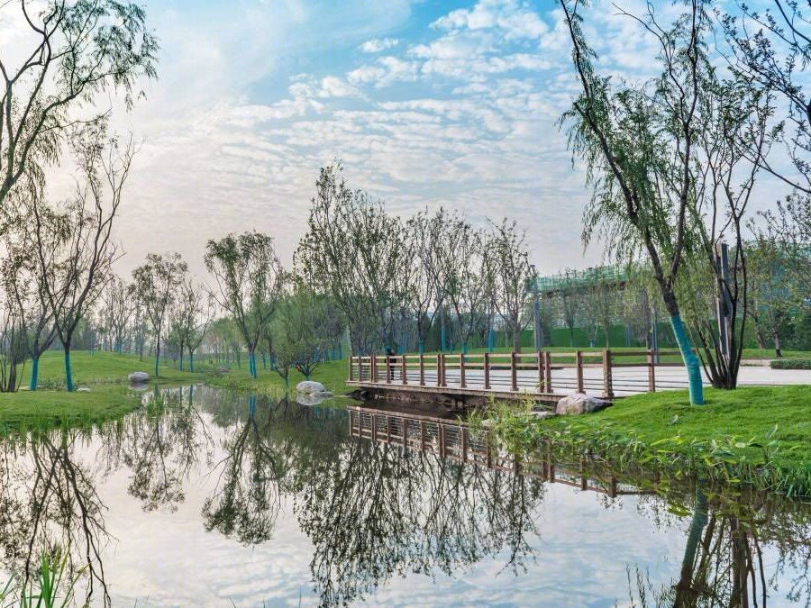 河南武陟龙泽湖公园-3