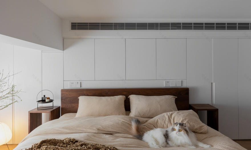 俩人俩猫的温馨小屋 loft公寓-27