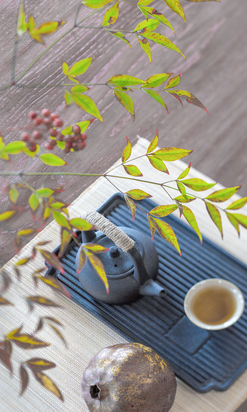苏州园林风格的老厂房改造-18
