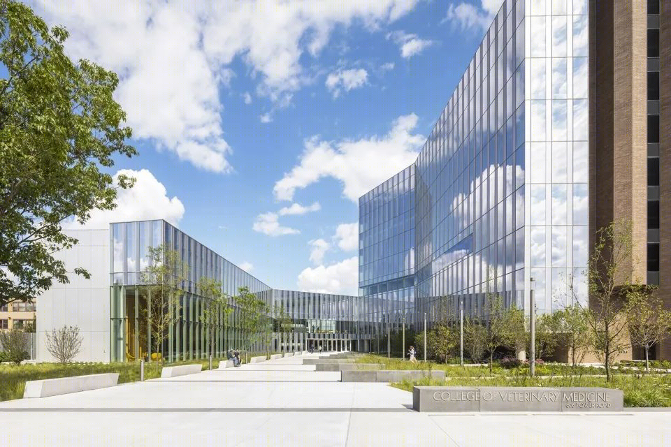 康奈尔兽医学院 | 绿色庭院与画廊大厅的共生设计-7