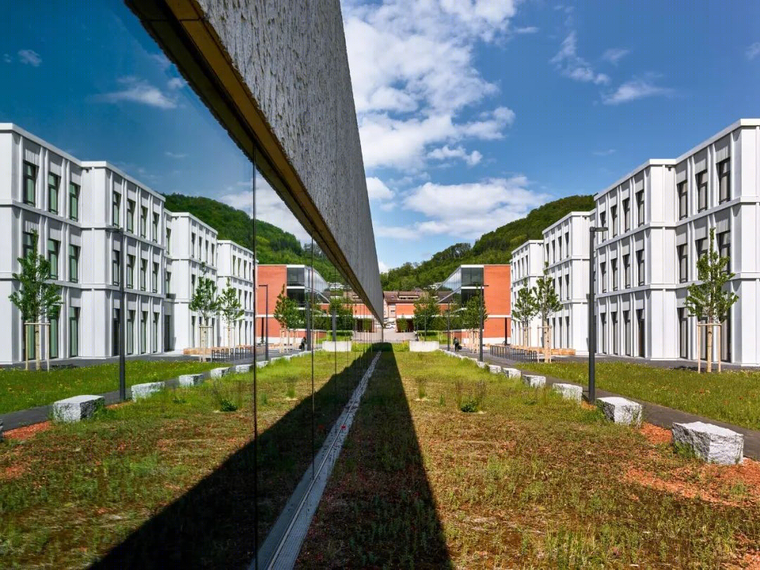 瑞士可持续小学丨Ernst Niklaus Fausch Partner-21