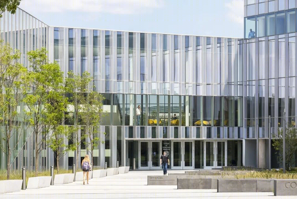 康奈尔兽医学院 | 绿色庭院与画廊大厅的共生设计-10