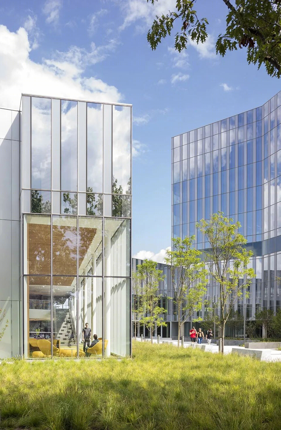 康奈尔兽医学院 | 绿色庭院与画廊大厅的共生设计-12