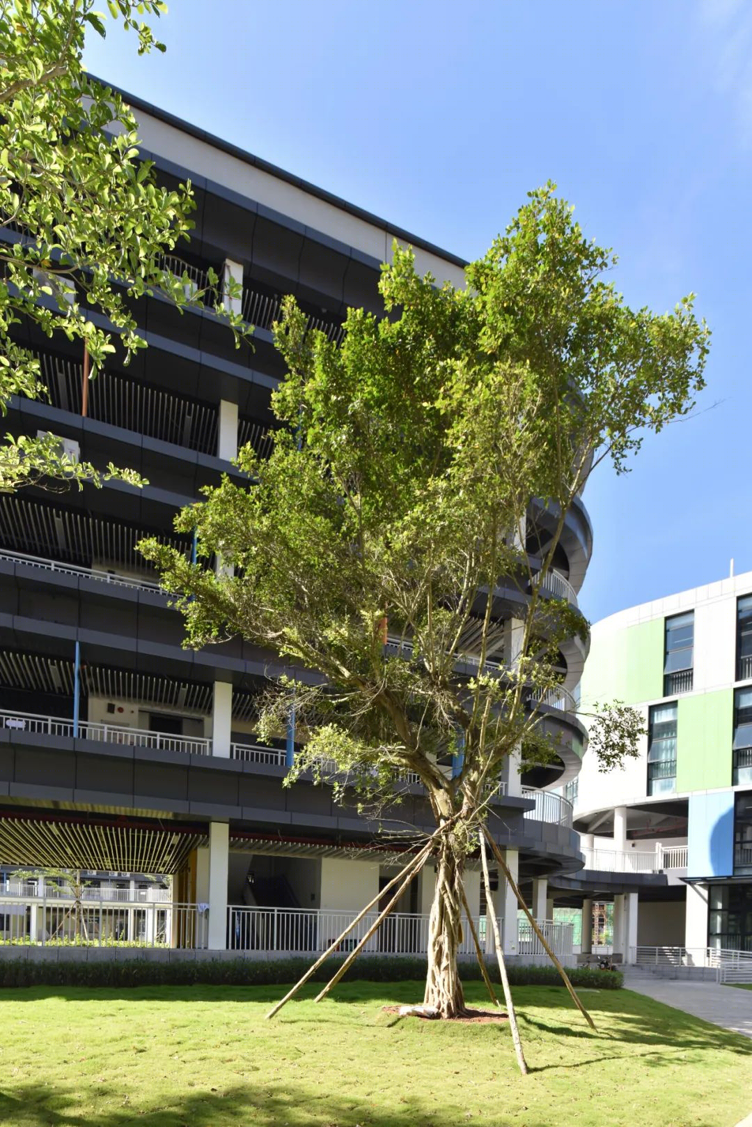 琼海市第一小学南堀校区丨中国琼海丨ATDESIGNOFFICE-69
