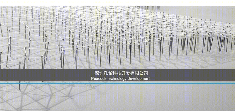 深圳孔雀科技开发有限公司办公室设计-0