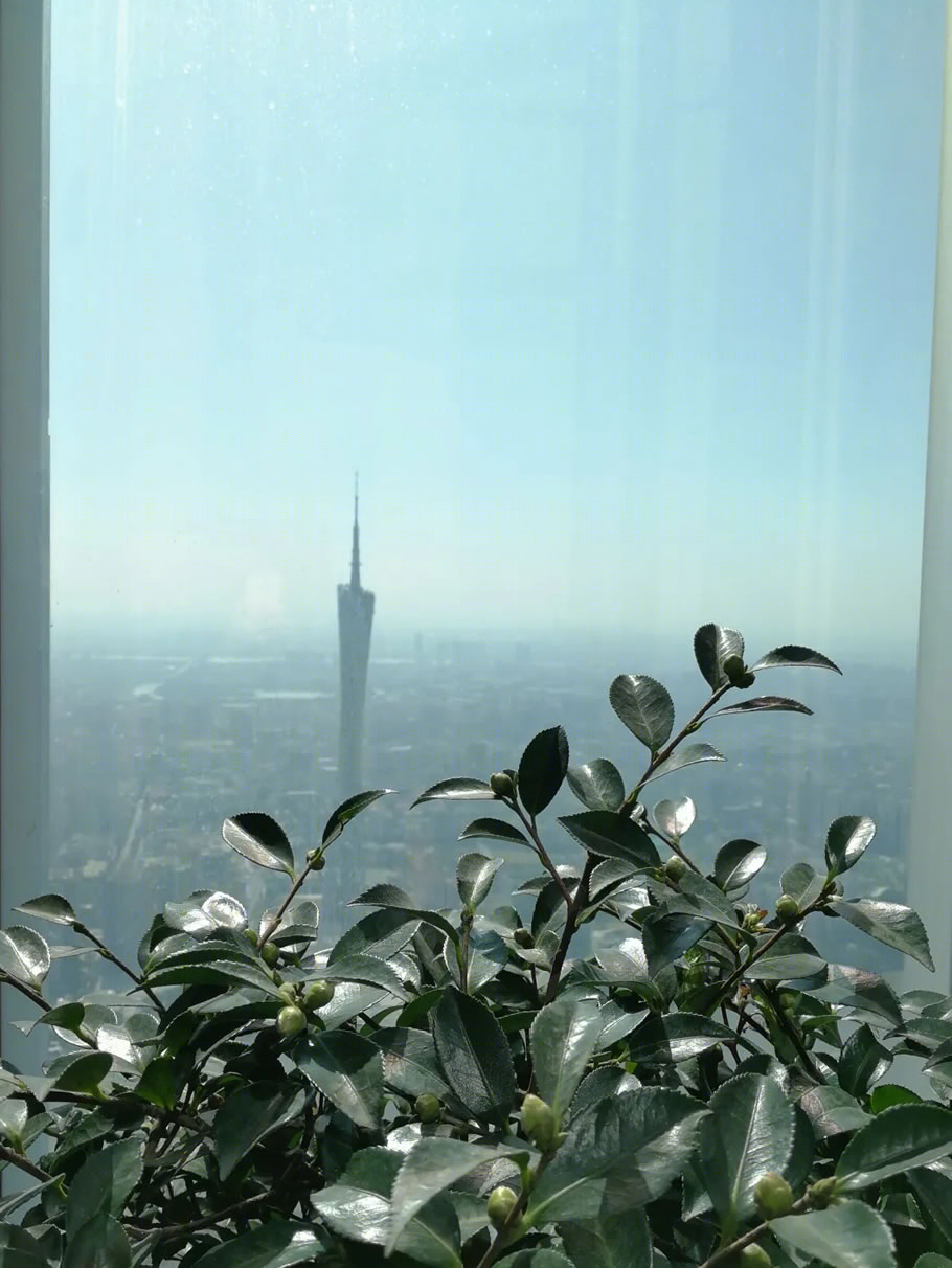 广州东塔(周大福金融中心)丨中国广州丨泰国P Landscape,广州普邦园林股份有限公司-67