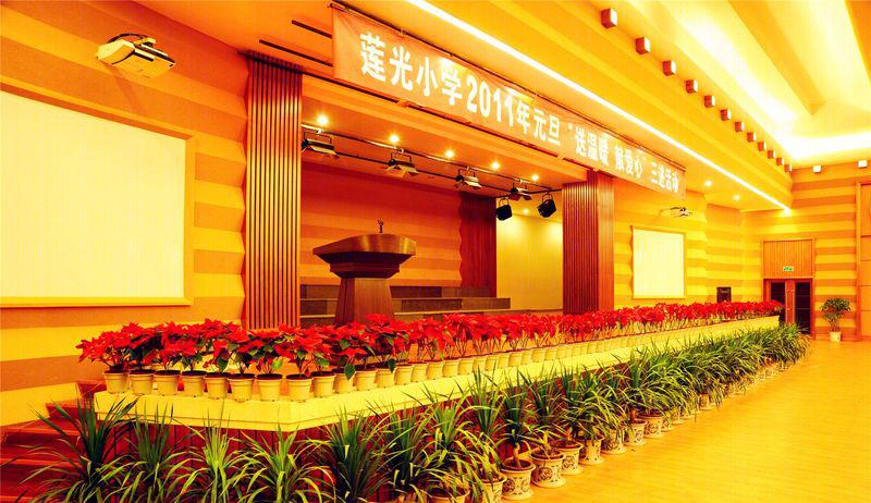 莲光小学-8