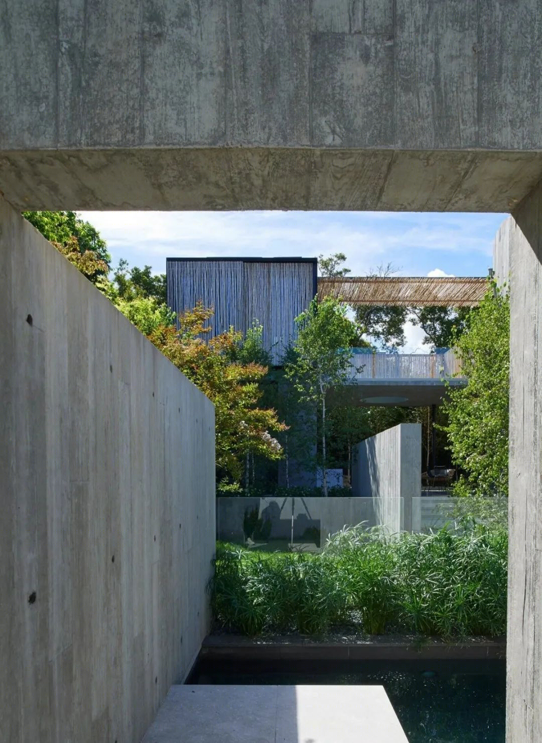 树枝住宅丨澳大利亚丨Leeton Pointon Architects-38
