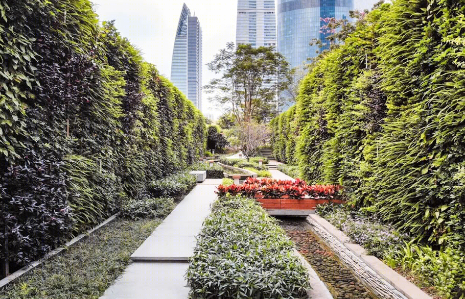 广州东塔(周大福金融中心)丨中国广州丨泰国P Landscape,广州普邦园林股份有限公司-71