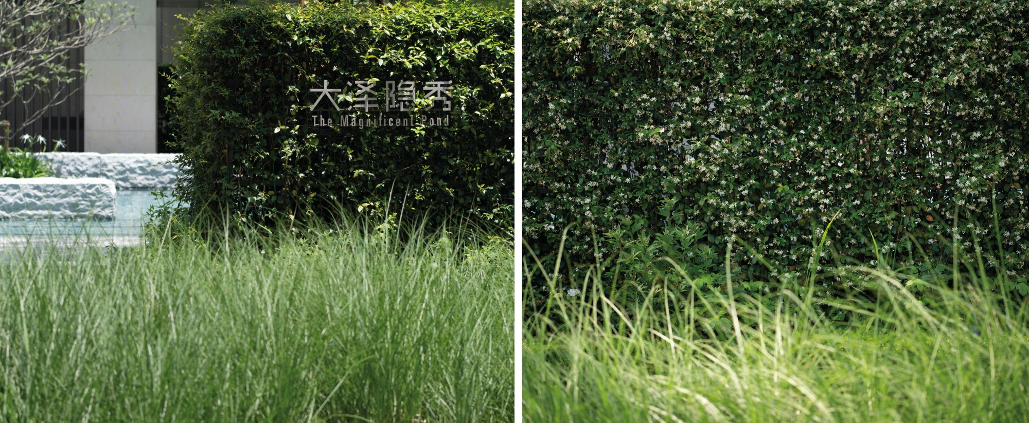 杭州融信万科古翠隐秀 | 现代景观的静谧诗篇-186