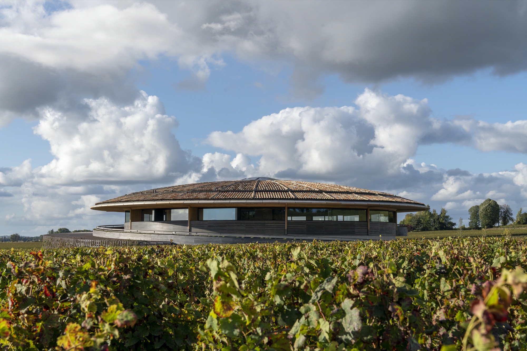 Le Dome 酒庄丨法国丨Foster + Partners-17