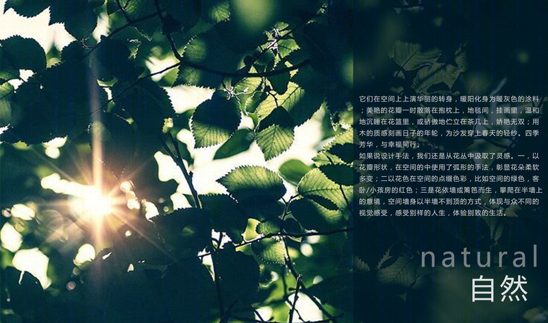 郑杰友打造浪漫宜居空间 | 多功能餐厅与自然灵感设计-13
