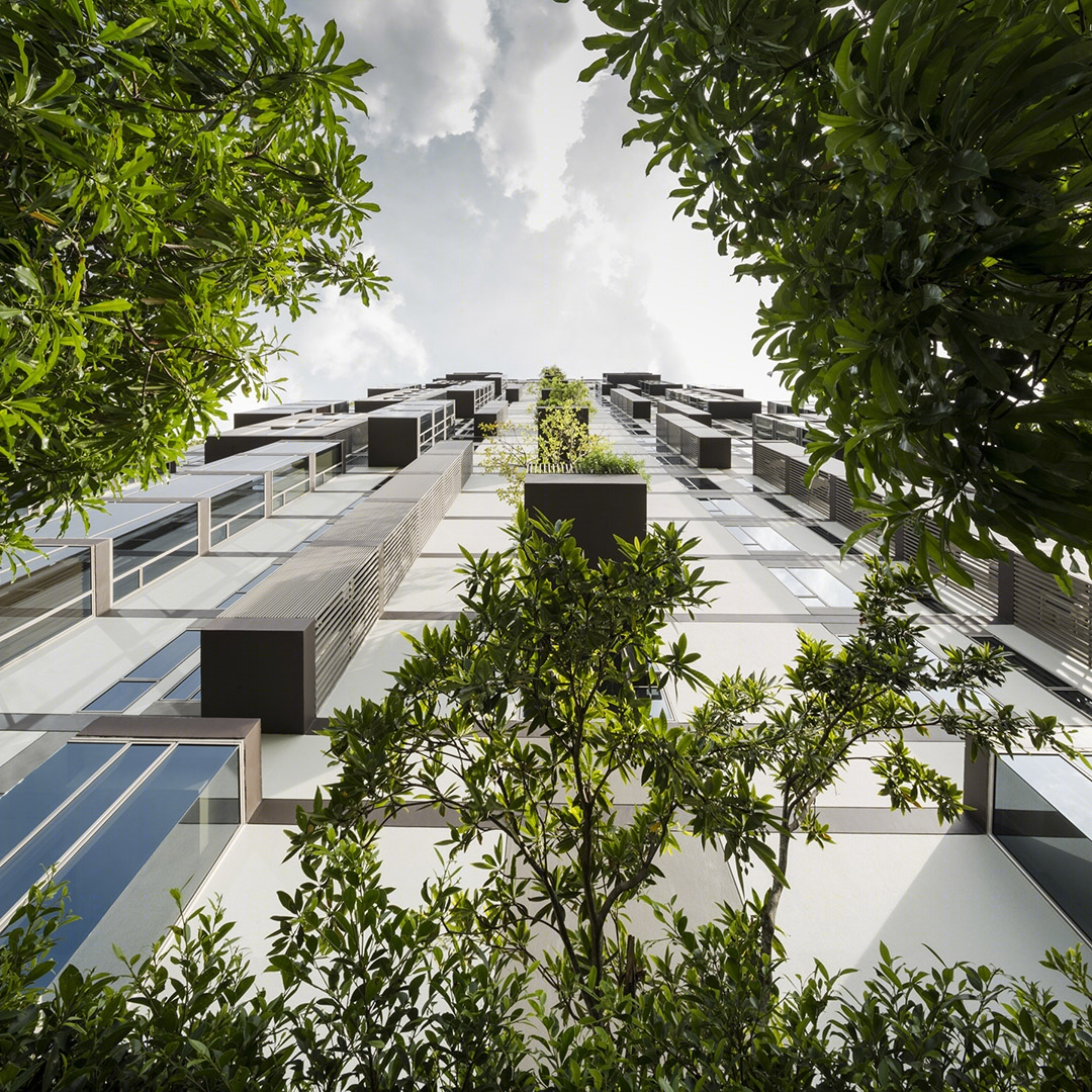 阿什顿·莫夫素坤逸 38 号-29