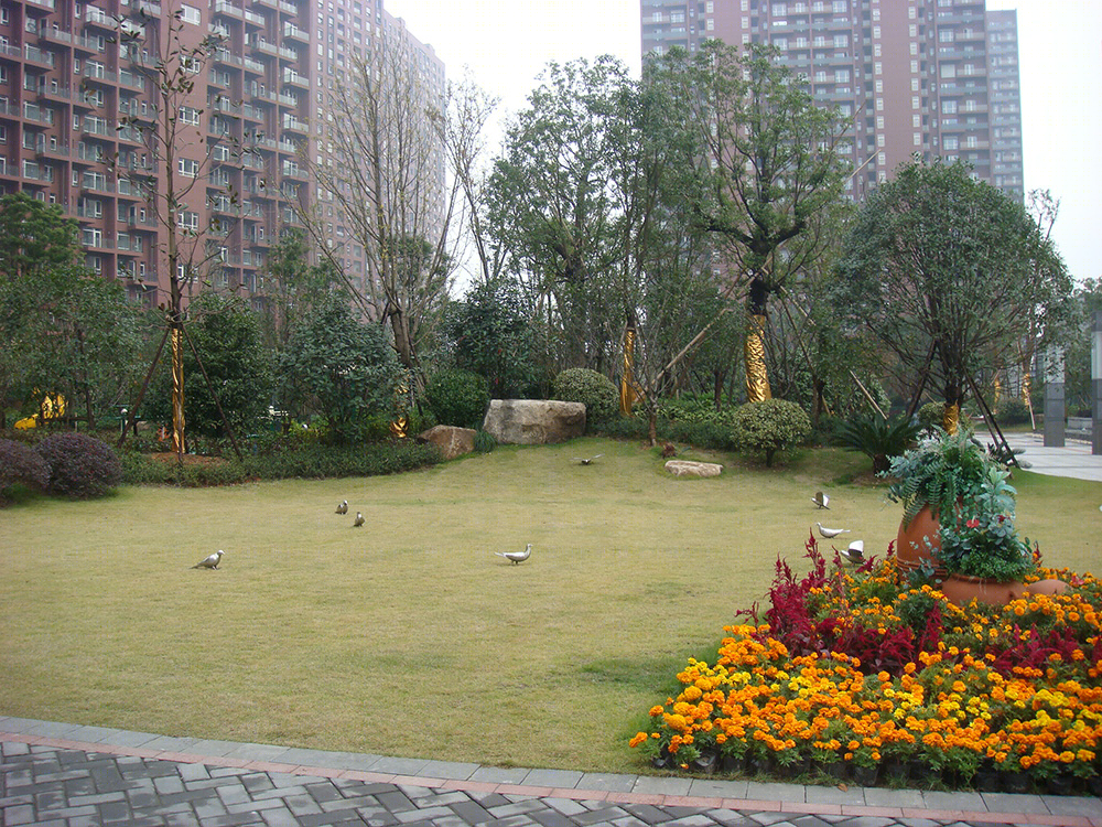 杭州朗诗国际街区-15