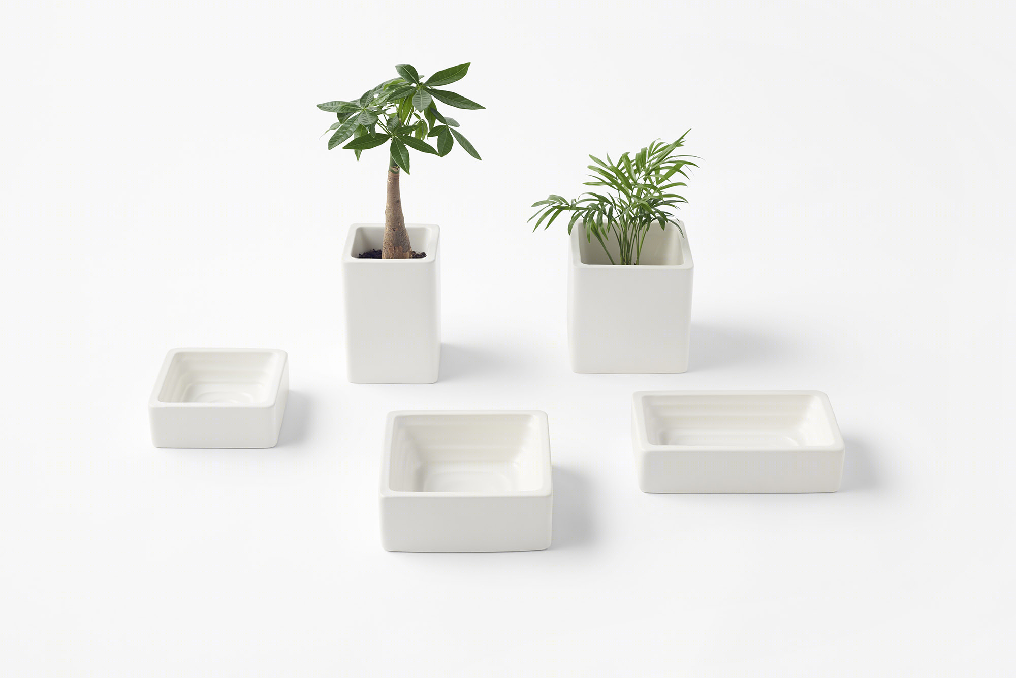 打造立方宠物用品-28