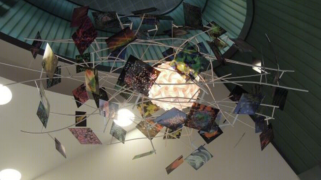 苏格兰再生医学中心-24