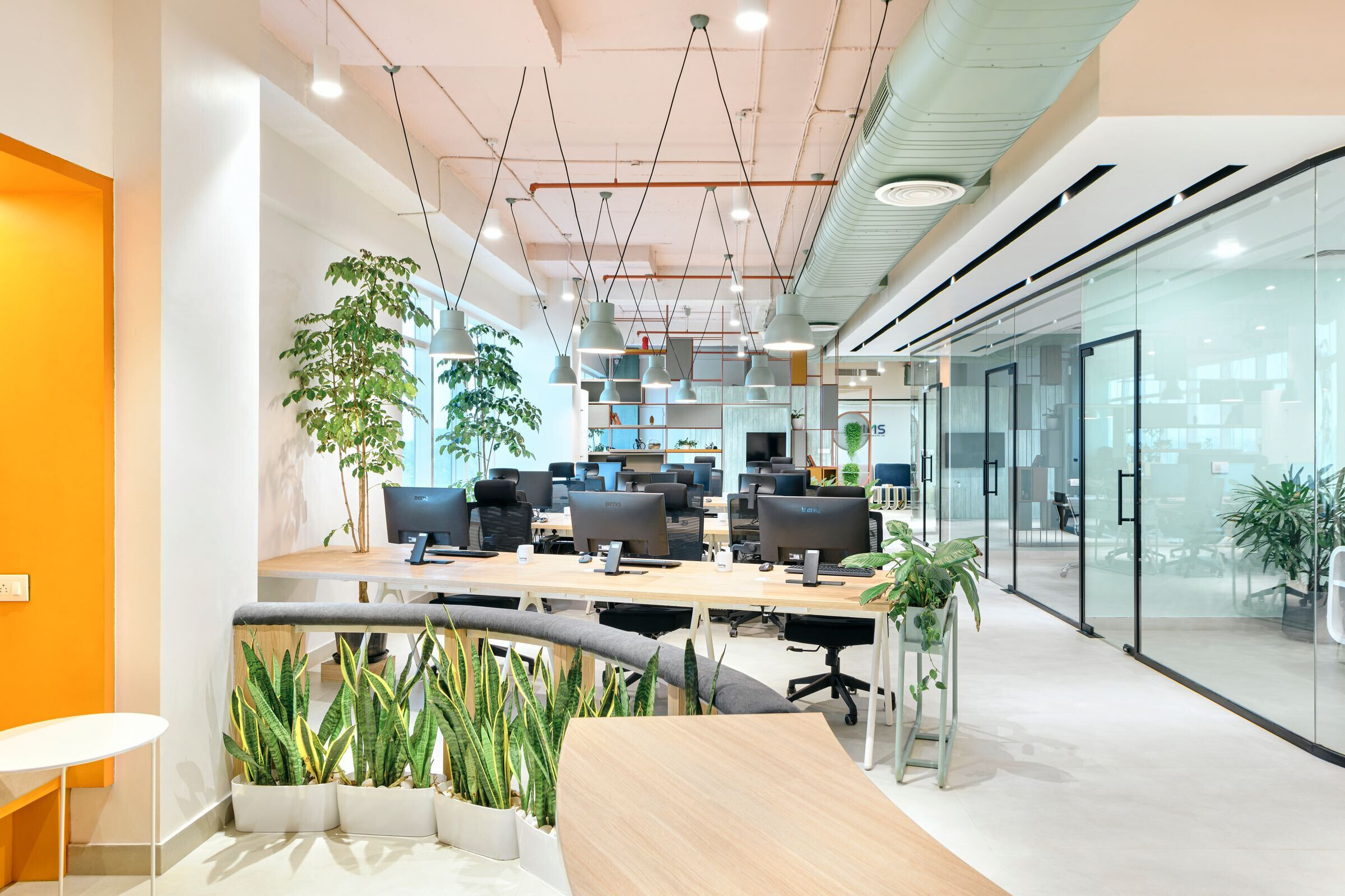 Sapling Creations 办公室丨印度-53