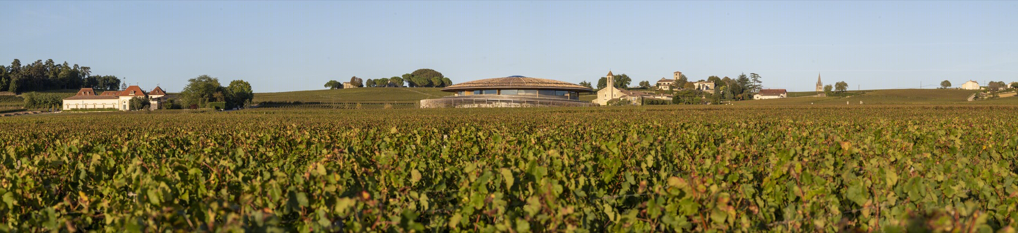 Le Dome 酒庄丨法国丨Foster + Partners-18