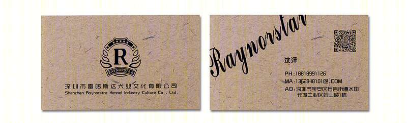 RAYNORSTAR-22