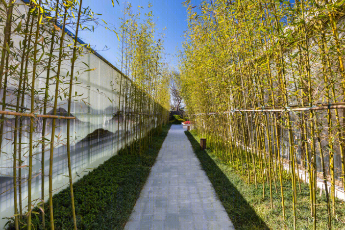 长安世茂国风-13