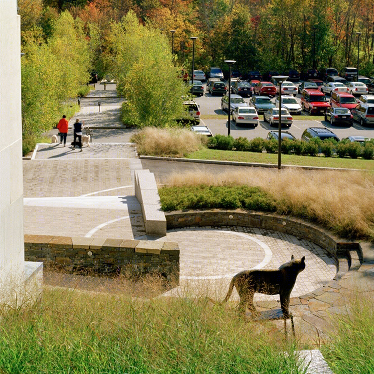 美国 DeCordova 博物馆户外景观改造-40