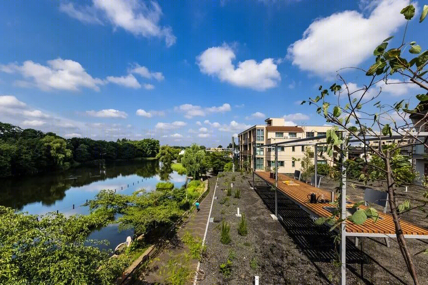 高岭町住宅丨日本丨宇野友明-84