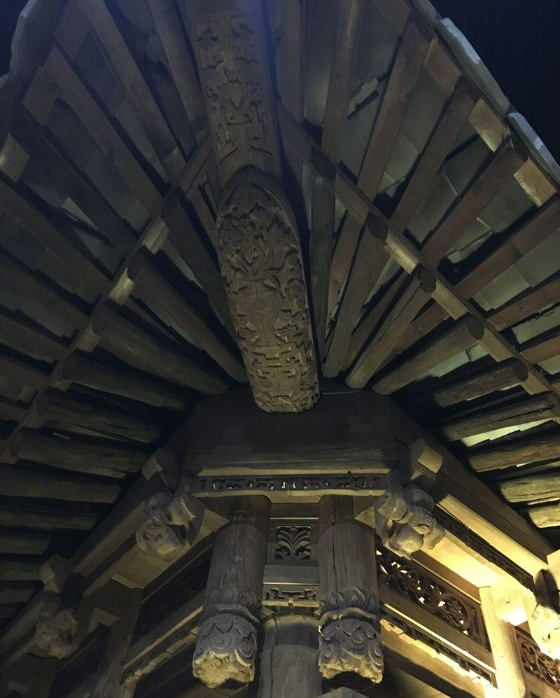 孙龙丨苍南县博物馆-12