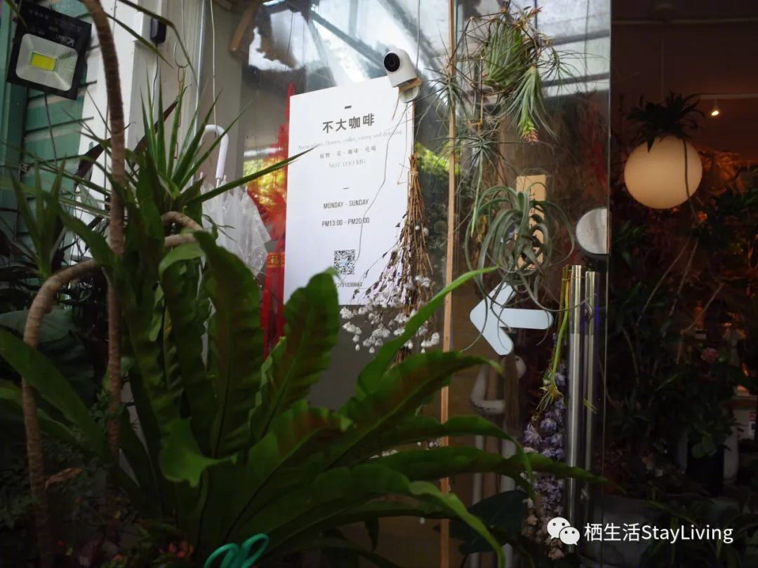 城市绿洲 · 老铁花园的慢生活乌托邦丨荷兰-10