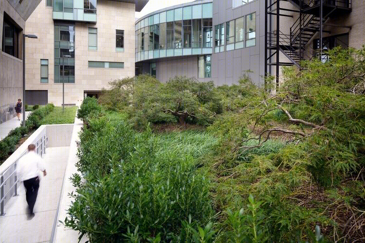 美国麻省理工斯隆管理学院(MIT Sloan School of Management)-22