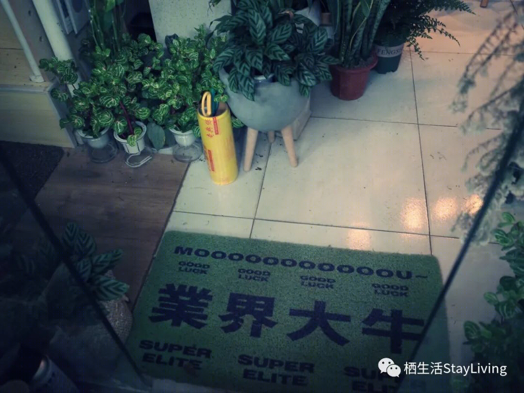城市绿洲 · 老铁花园的慢生活乌托邦丨荷兰-12