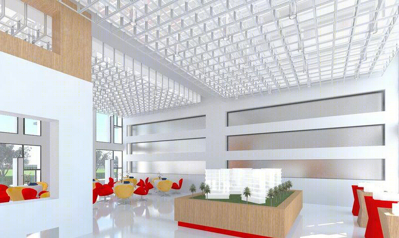 阳光下的郁金香-12