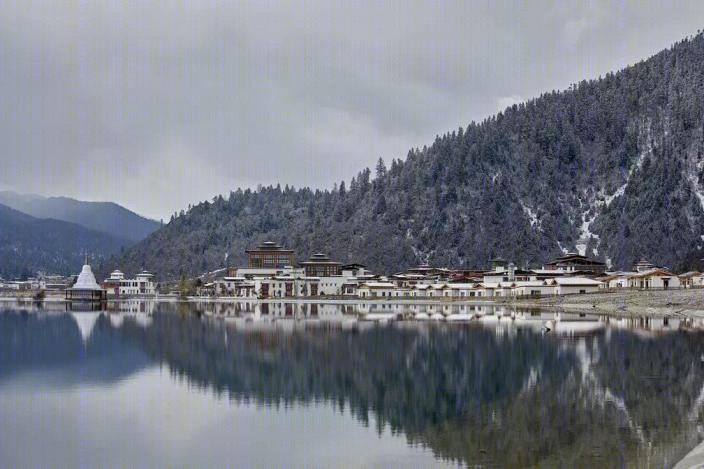 林芝鲁朗度假酒店景观-2