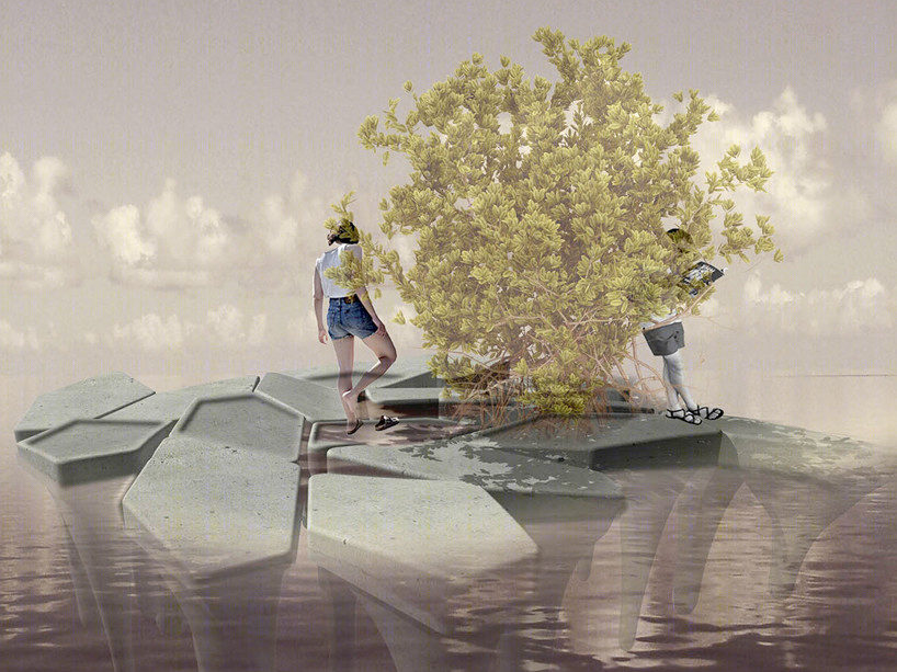 哥伦比亚红树林小岛（Columbia Mangrove Island）-4