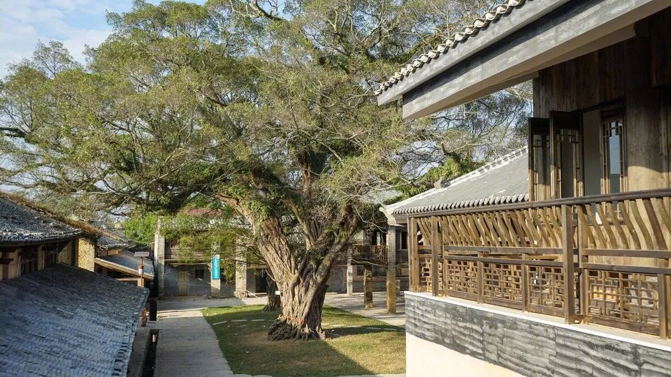 船型布局古墟美，周前村焕发新光彩-25