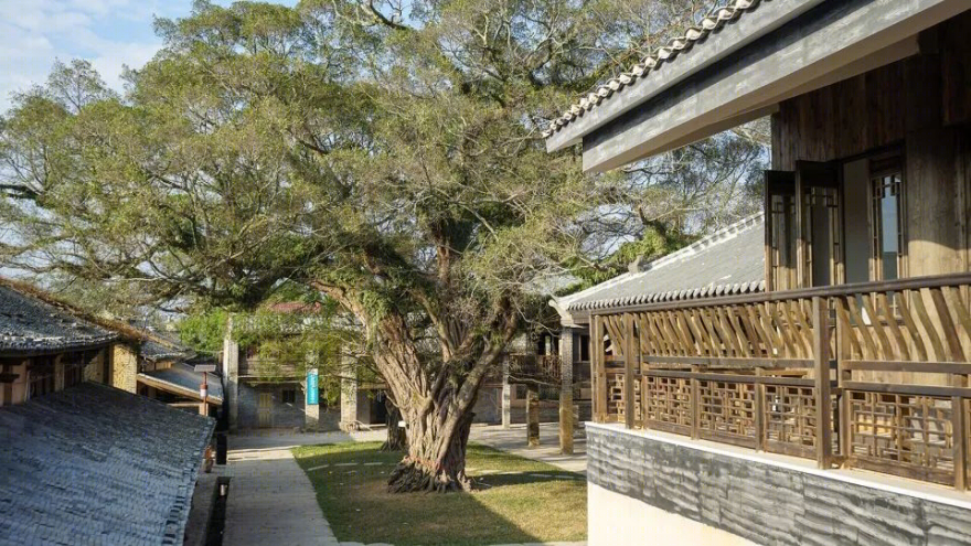 船型布局古墟美,周前村焕发新光彩-25