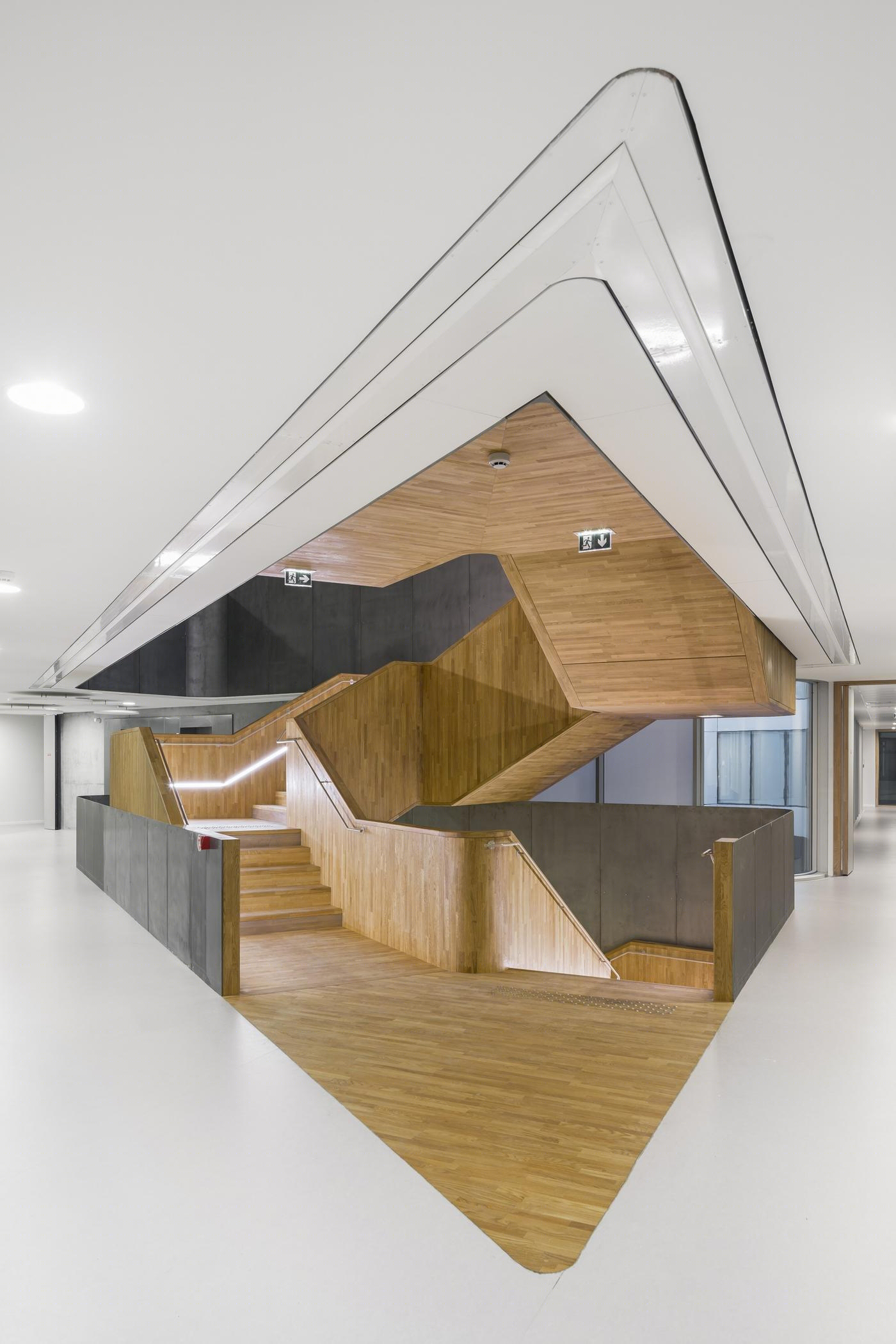 法国斯特拉斯堡研究所（France Strasbourg Institute）-14