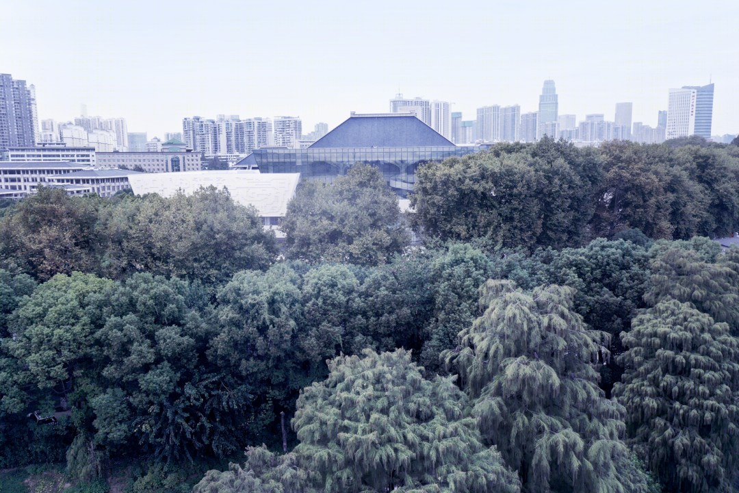 湖北省博物馆三期扩建工程丨中国武汉丨中信建筑设计研究总院有限公司-19