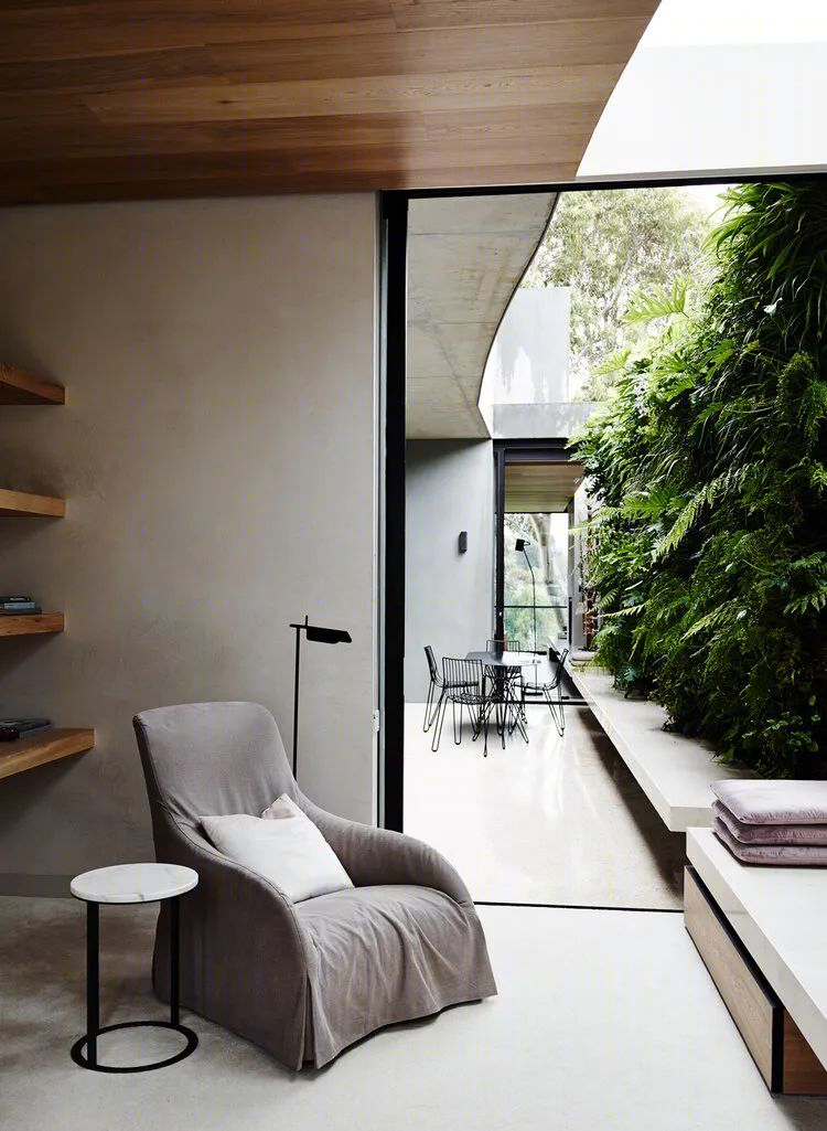 树枝住宅丨澳大利亚丨Leeton Pointon Architects-53