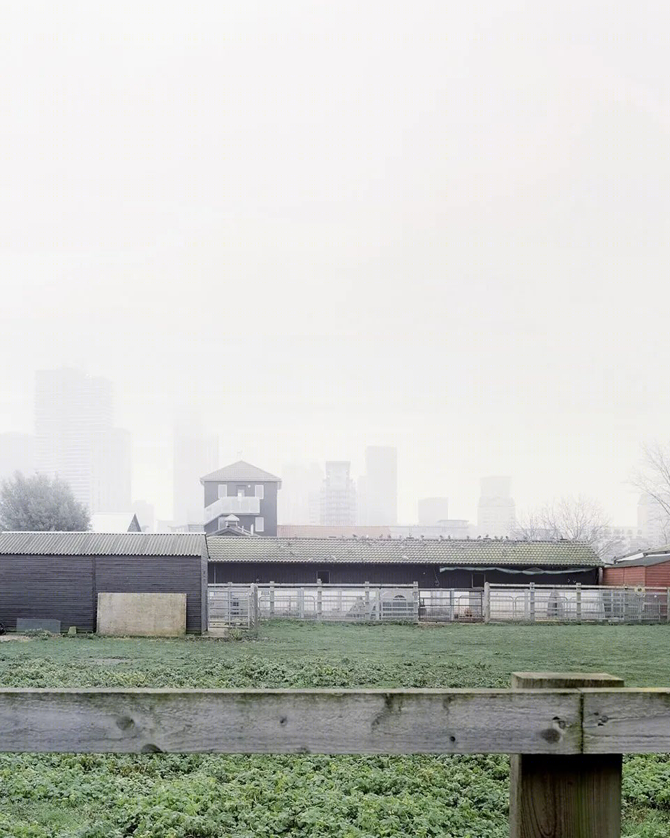 泰晤士河畔的绿色“温室”——伦敦 Surrey Docks 城市农场建筑翻新-39
