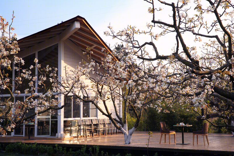 秋木箐宝珠梨山庄-19