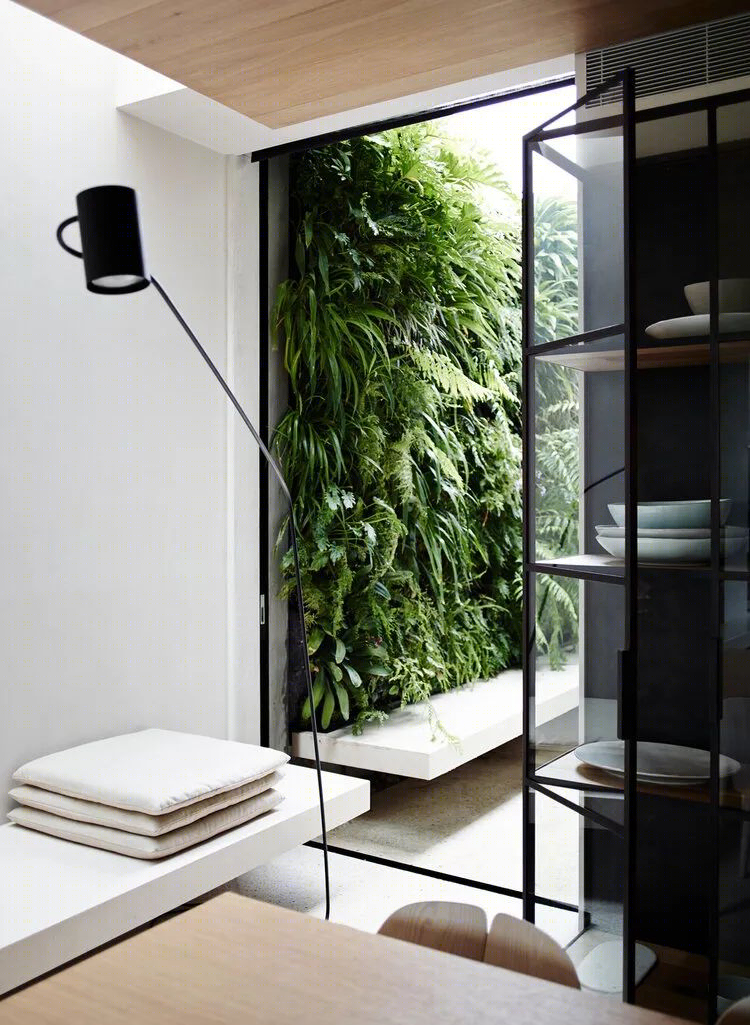 树枝住宅丨澳大利亚丨Leeton Pointon Architects-54